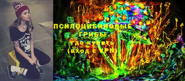 гидропоника Алзамай