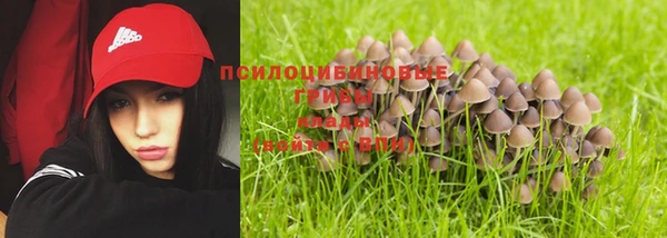 мяу мяу мука Заречный