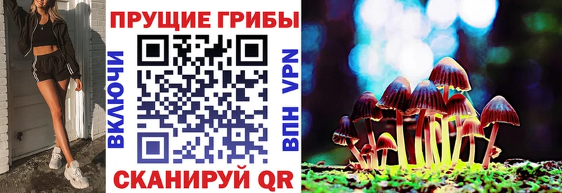 KRAKEN онион Кологрив Псилоцибиновые грибы Magic Shrooms